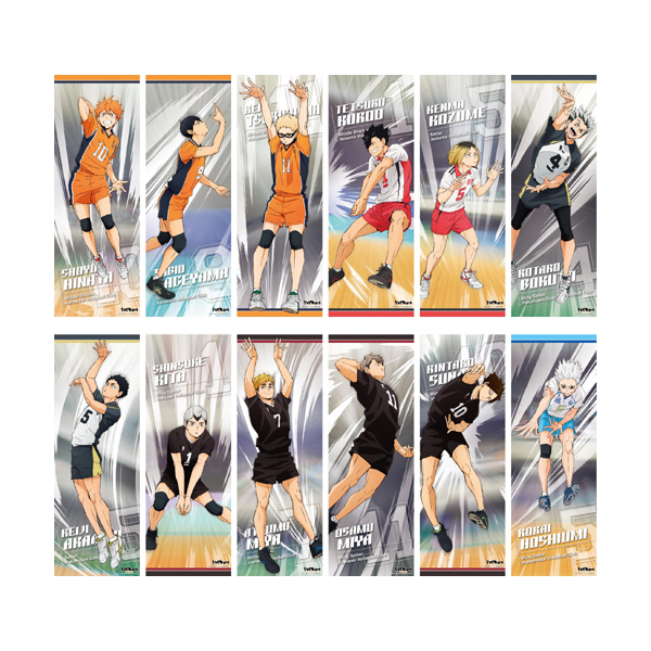 [Haikyu!!] Chara Poster Collection vol.2 (Blind Box -Single)