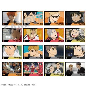 [Haikyu!!] A5 Trading Anime Still Poster (Blind Box -Single)